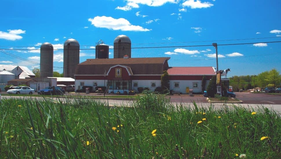 Freddy Freddy Farms property.