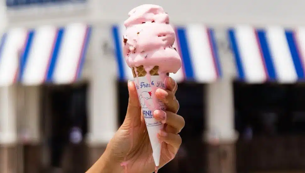 Chester County Ice Cream Shop Draws Crowds as Summer Arrives