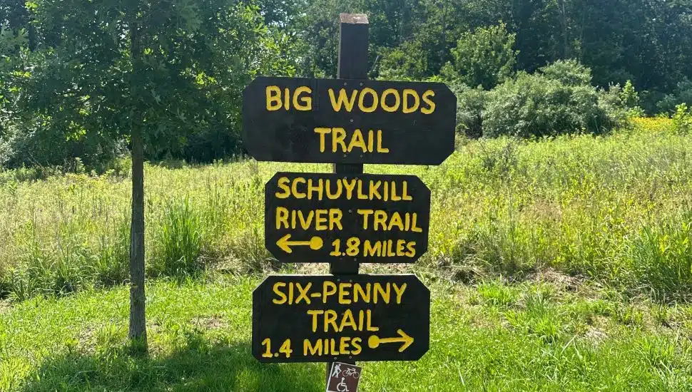 French Creek State Park trail signs written on wood in yellow paint.