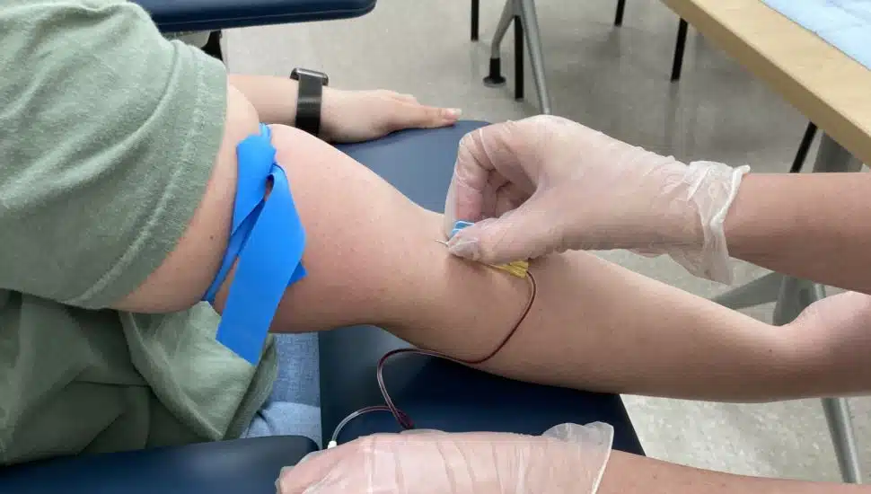 A close up photo of a Nurse Aide drawing blood from a right arm. The shirt is rolled up and the arm extended.