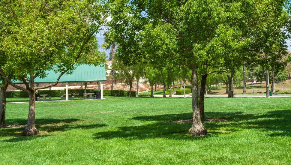 Park space with green grass, trees, and pavilion in background.