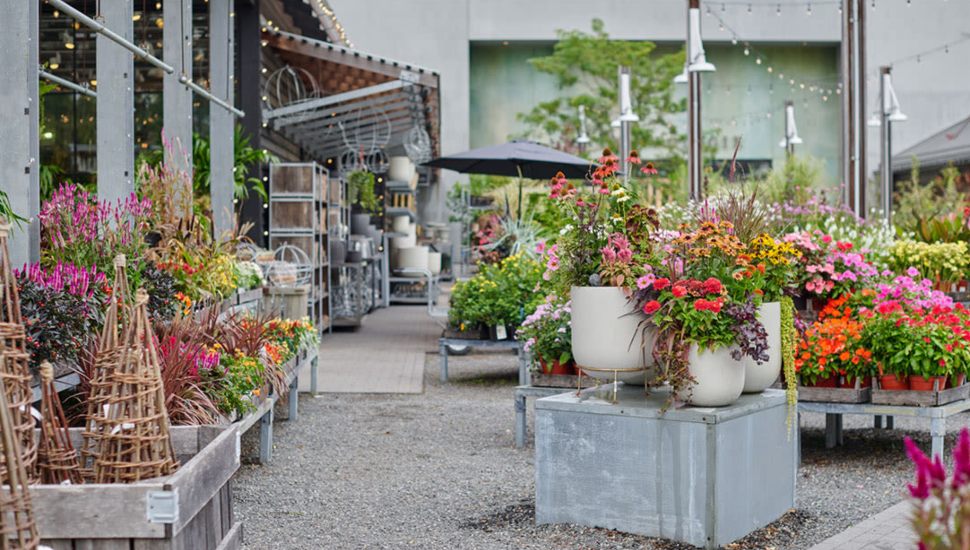 Colorful plants and flowers, pots, and decor at Terrain in Devon.