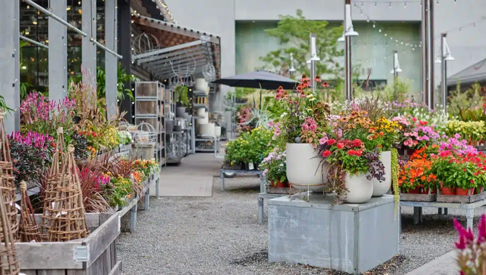 Colorful plants and flowers, pots, and decor at Terrain in Devon.