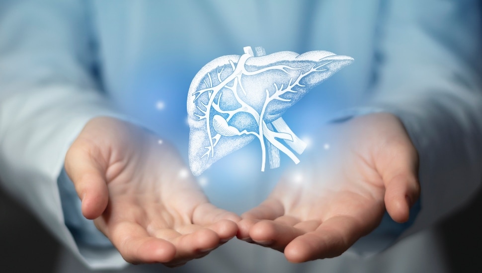 Health concept of man holding his hands out with floating organ.