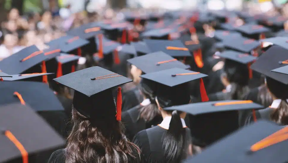 Crowds of students facing away from camera with graduation caps on.