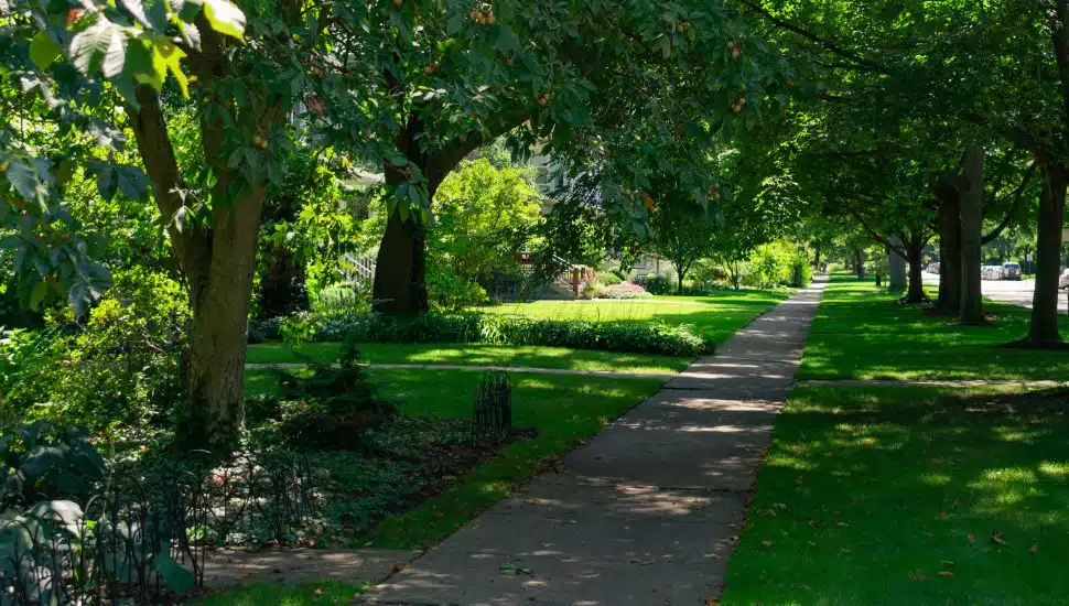 Residential neighborhood sidewalk with green grass and tree shade.