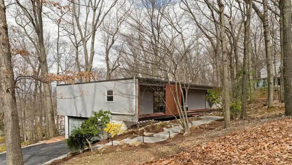 First Bank House of the Week: Contemporary Rambler Surrounded by Trees in Devon