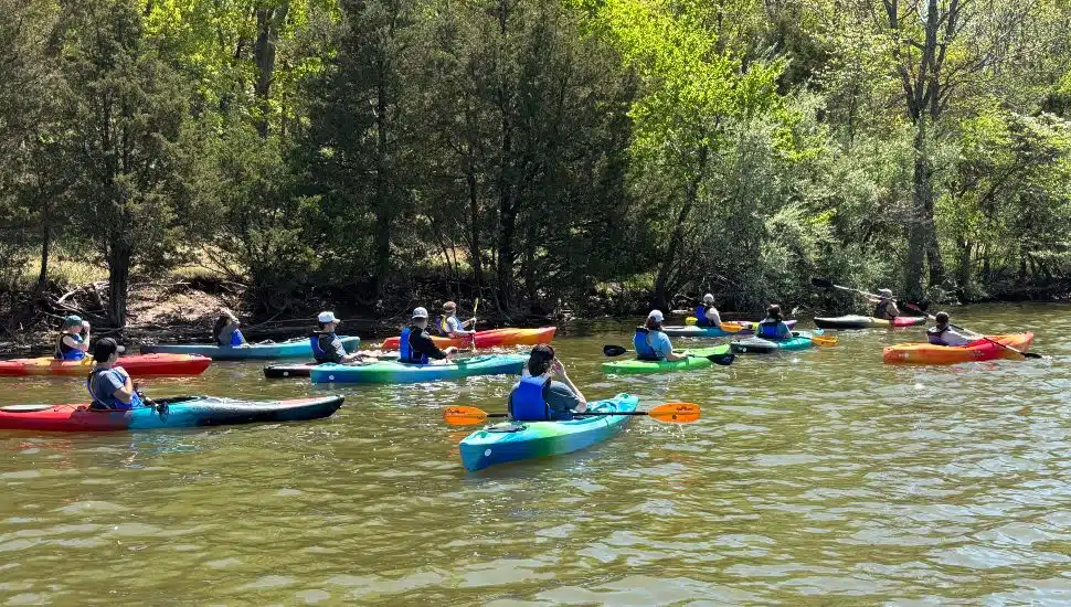 Ursinus College students in kayaks on the water as a part of Aqua's partnership with the Perkiomen Watershed Conservancy. It is a sunny day and there are several kayaks in the water at a distance.