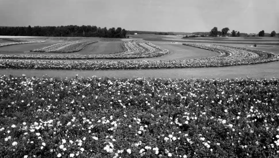 Wake Up and Smell the Roses: Chester County’s Garden Legacy