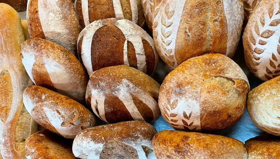 Sourdough loaves in rows at Good Girls Bakery.