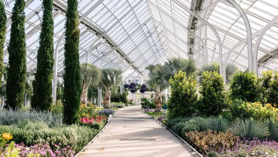 Inside The West Conservatory with a walkway in center and plants on either sides.