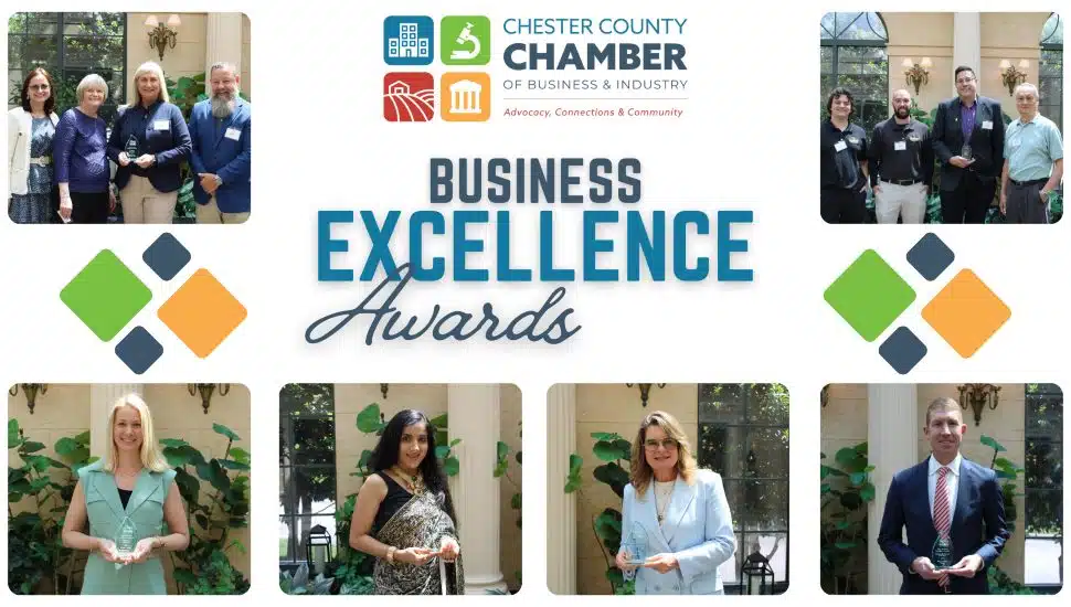 Business Excellence Awards flyer with winners.