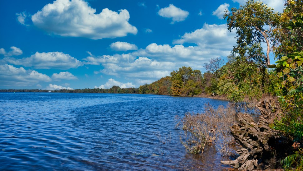 Edge of land along Delaware River.