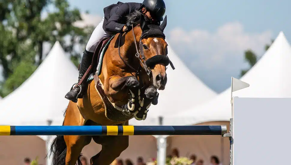 A competitor jumping at a horse show.