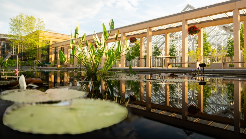 Reflective pools and outdoor architecture at Longwood Gardens' new Waterlily Court.