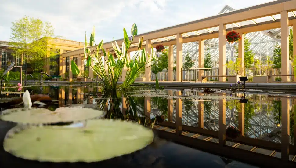 Reflective pools and outdoor architecture at Longwood Gardens' new Waterlily Court.