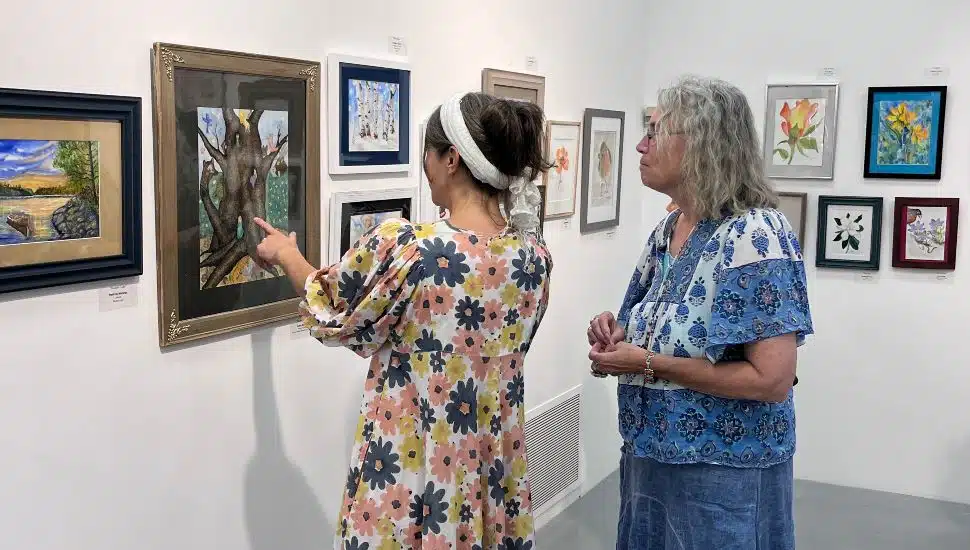 Art Gallery at DCCC Hosts 2025 Senior Community Services Art Show Jul. 9-31