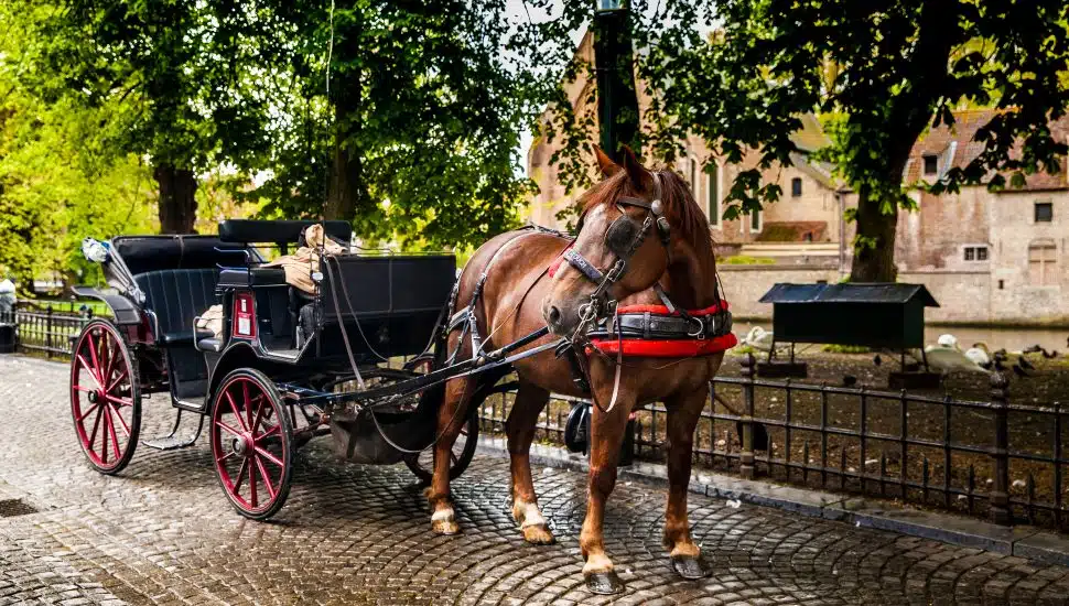 Horse carriage with no people in it on cobblestones.