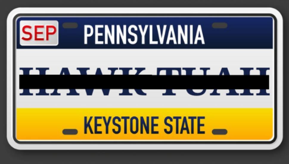 Hawk Tuah Vanity Plate