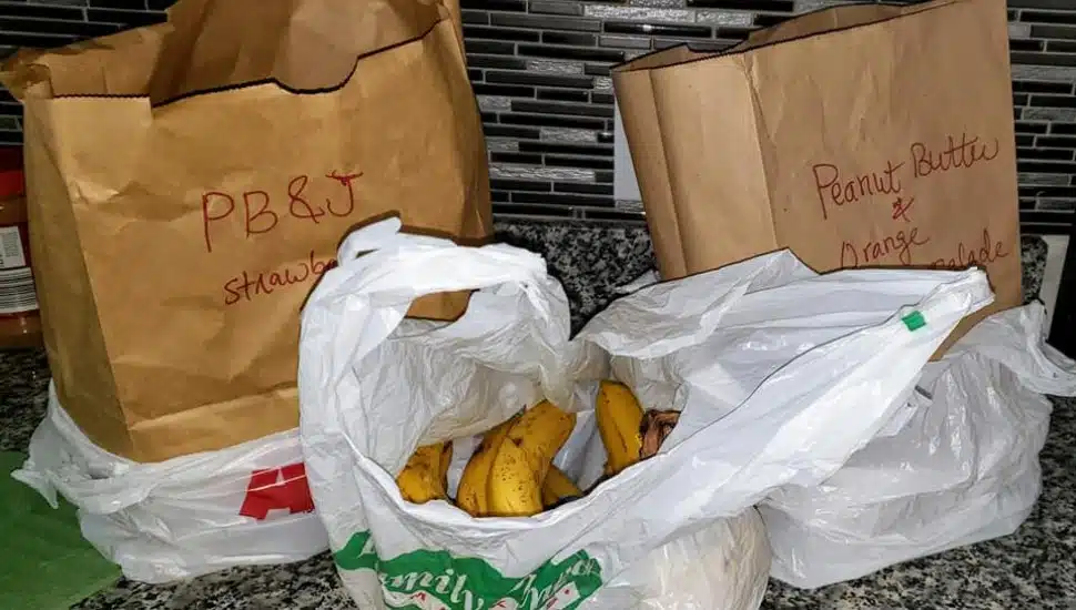 Grocery bags of donated food to Safe Harbor of Chester County.