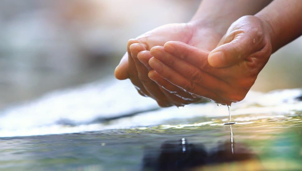 close up of hands cupping clear drinking water.