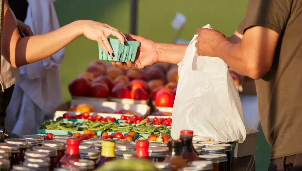 Person buying from someone at a farmers market stand.