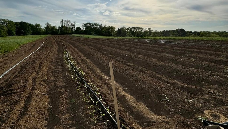Empty tilled ground for planting.