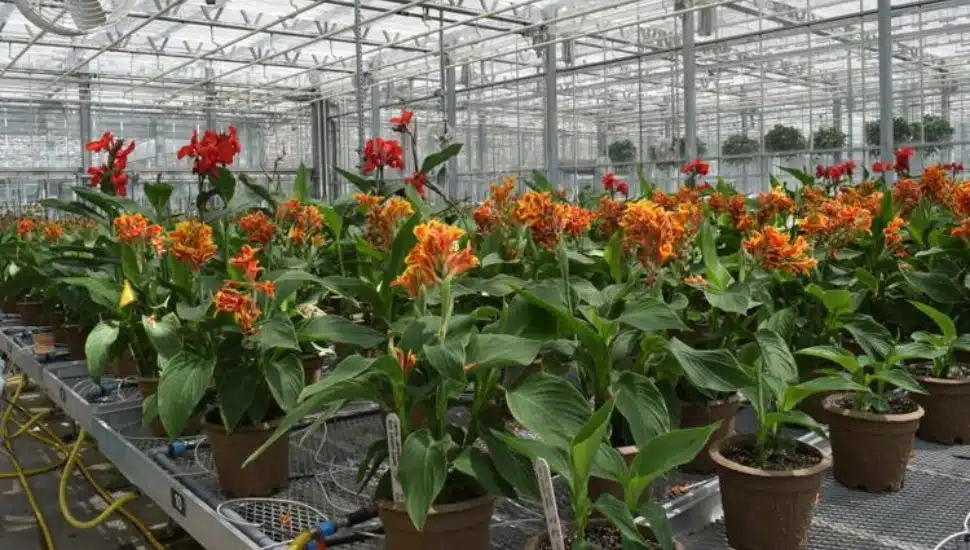 Philadelphia Society Hosts Mid-Atlantic Green Industry Panel at Longwood Gardens