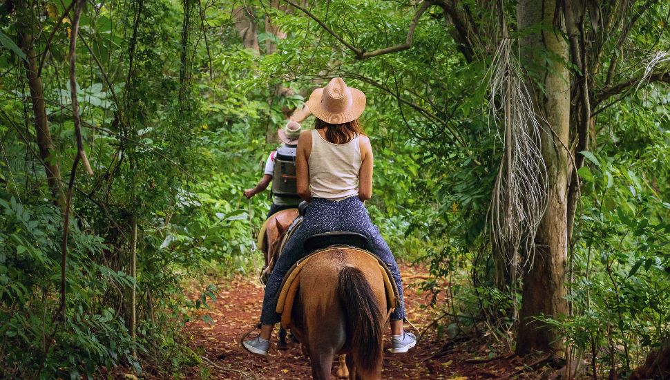 A horseback rider surrounded by green forest.
