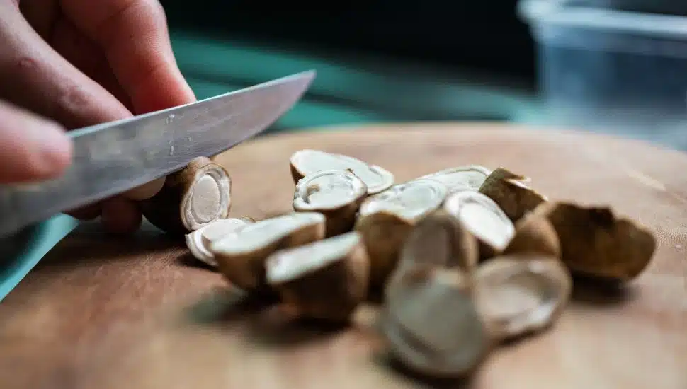 Chef cutting mushrooms on cutting board.