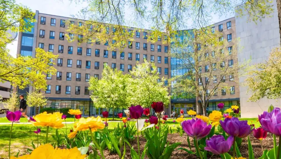 WCU traditional dorm with flowers outside.