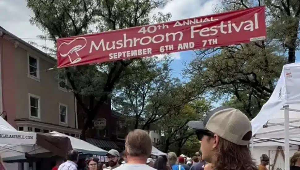 A red entrance banner at the 40th Annual Kennett Square Mushroom Festival.