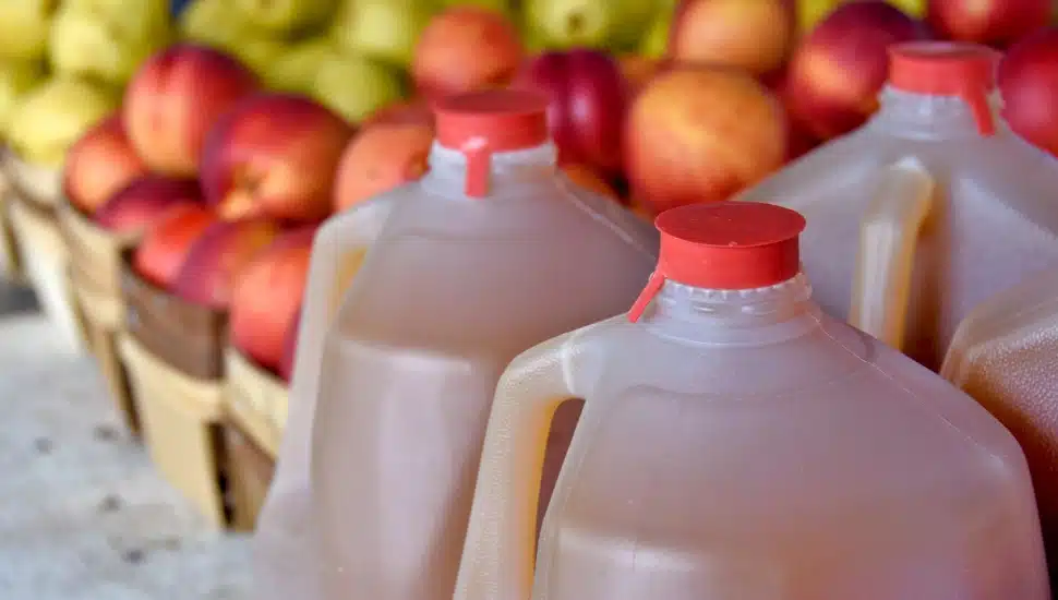 Several full apple cider gallons in front of red and green apples.