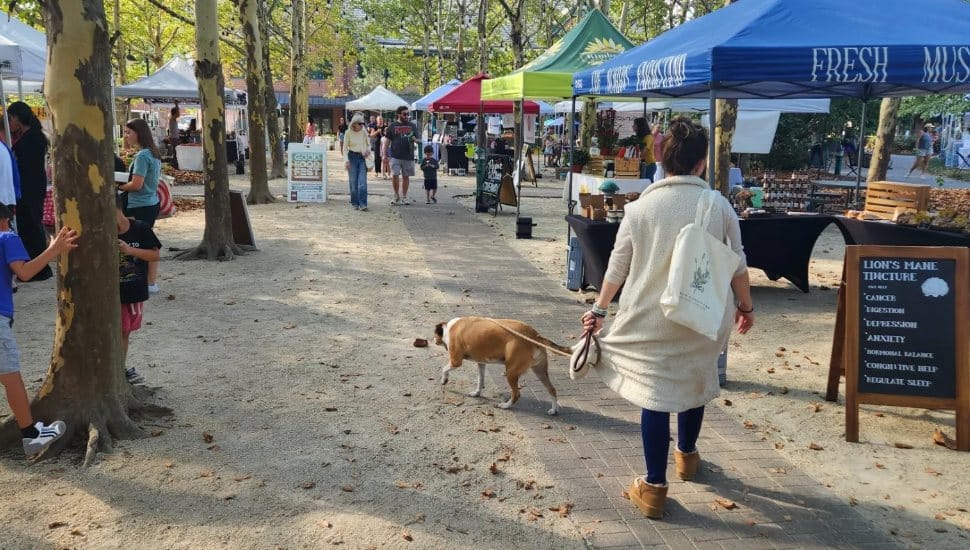 A shopper outdoors at the Eagleview Farmers Market.