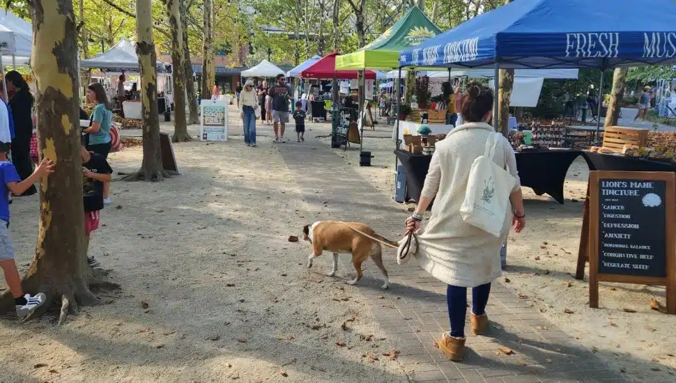 A shopper outdoors at the Eagleview Farmers Market.