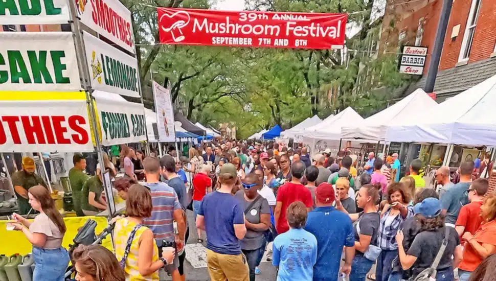 A crowd and several tent vendors outdoors at the 39th annual Kennett Square Mushroom Festival.