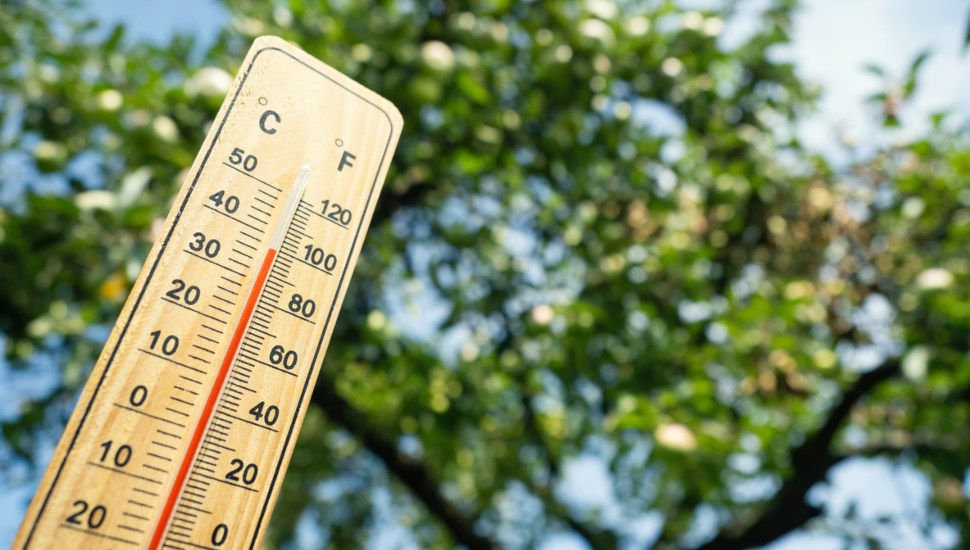 Summer temp.
