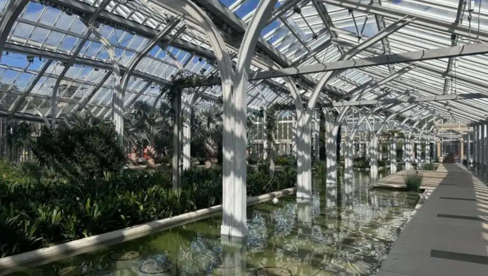 West Conservatory beams and water.