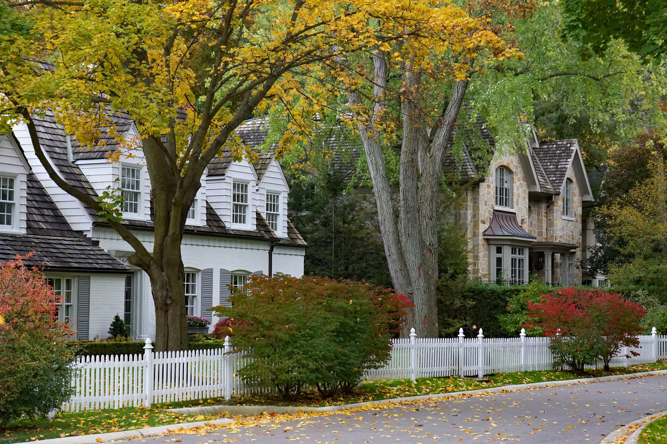 Residential street with nice homes in fall.