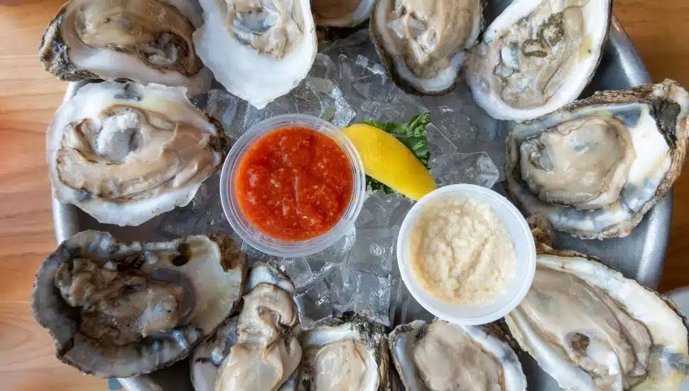 Giant bowl of oysters.