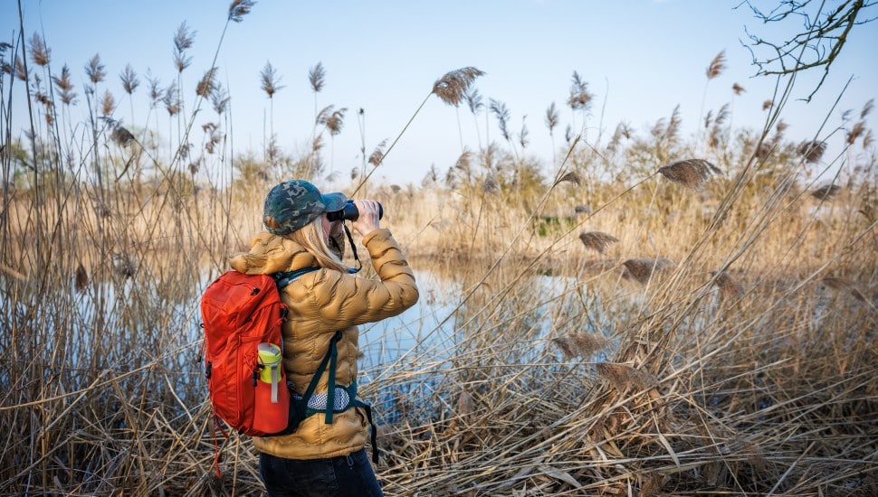Person bird spotting in field.