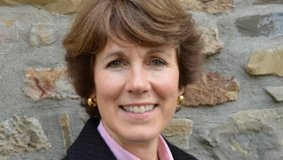 Donna Jamison Cave headshot with stone wall behind.