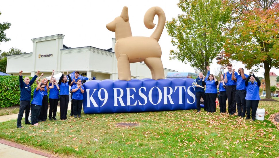 Book Your Furry Friends A High-End Stay at Wayne’s Luxurious New Pet Hotel