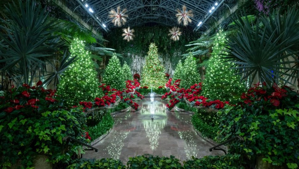 Holiday trees and nature displays at A Longwood Christmas at Longwood Gardens.