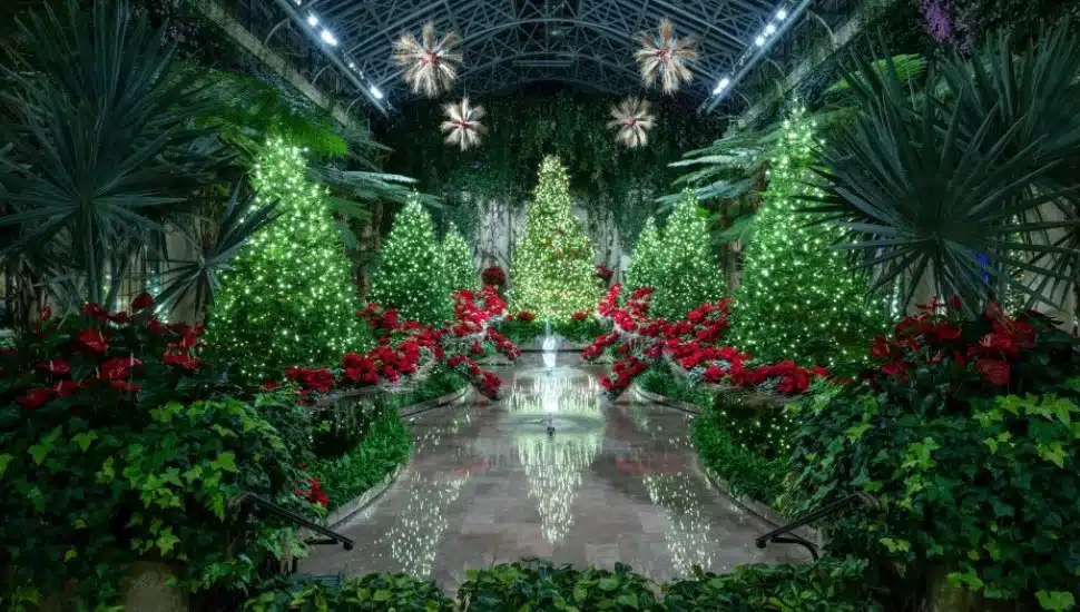 This Year’s ‘A Longwood Christmas’ Promises Bejeweled Holiday Magic