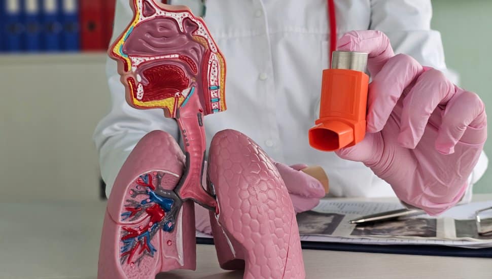 Doctor with set of fake lungs and an inhaler.