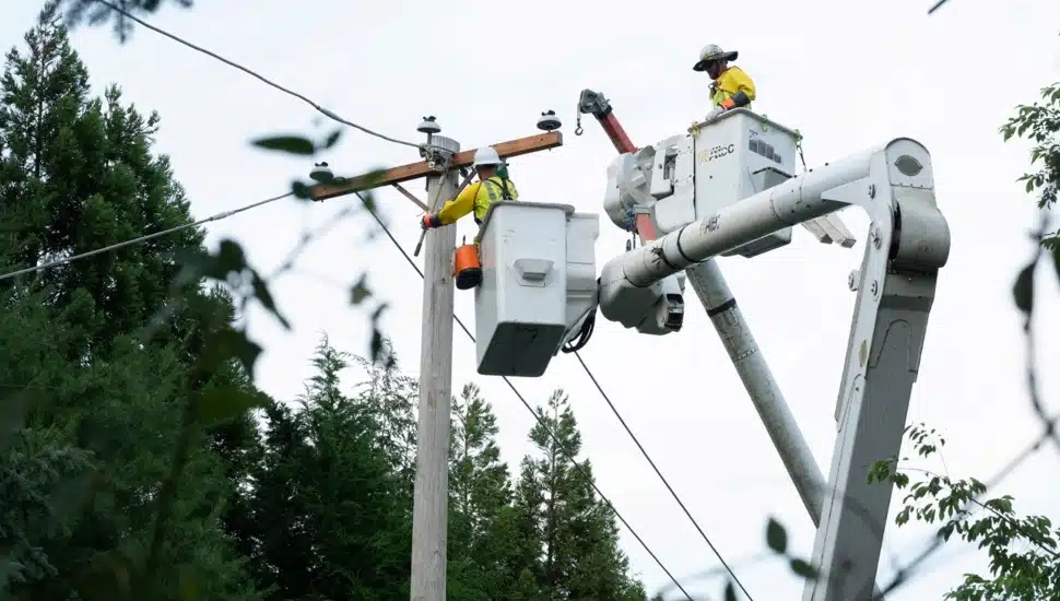 Utility workers work on electrical wires.