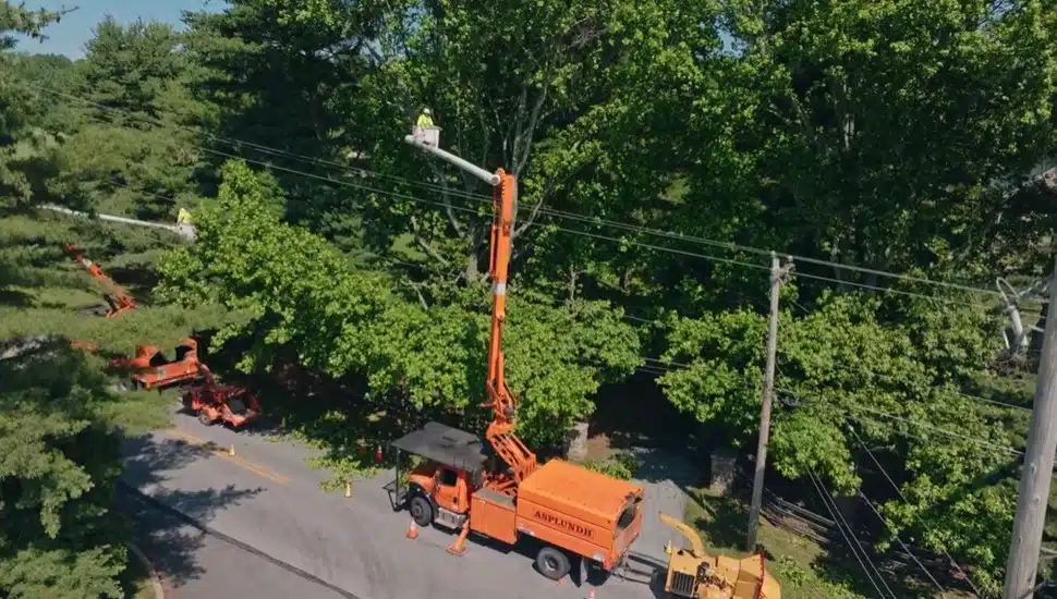 Aerial view of utility workers trimming trees.