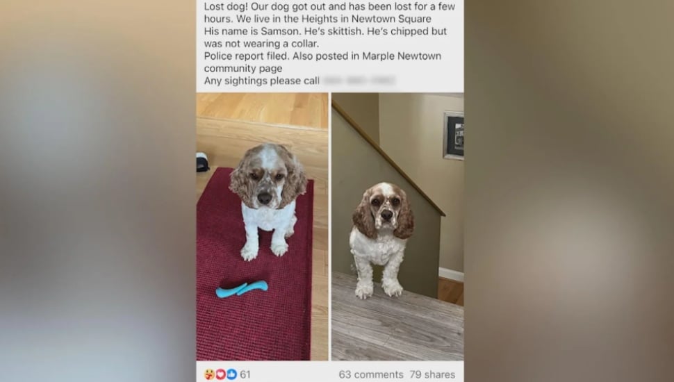 Lost Newtown Square Dog Rescued by a Thermal Drone Pilot