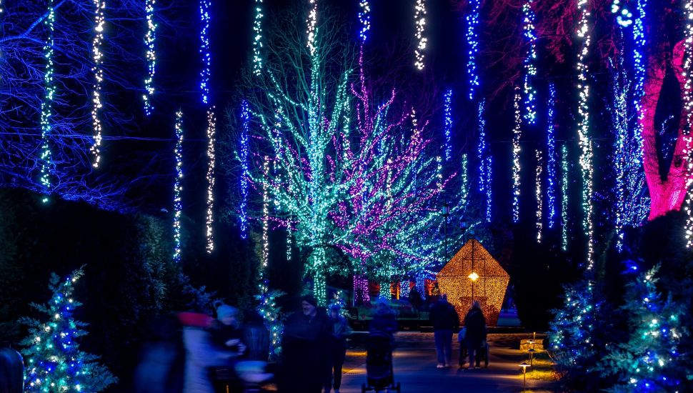 A Longwood Christmas lights outside.